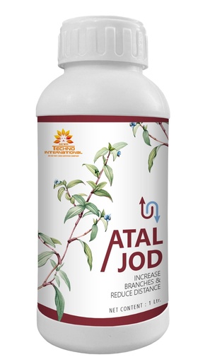 Atal Jod